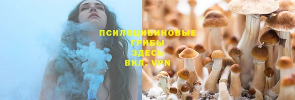 a pvp Алзамай