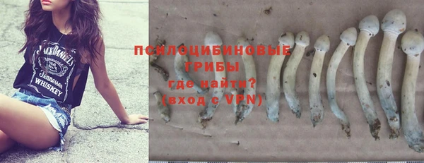 индика Алексеевка